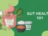 Gut Health 101: Improve Your Microbiome Naturally Gut Health 101: Improve Your Microbiome Naturally